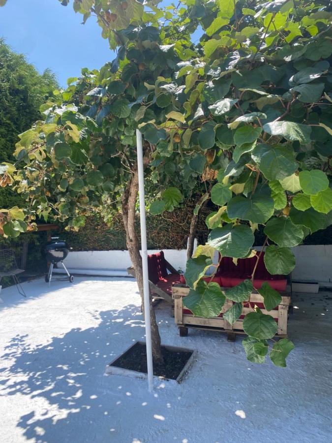 Casita Rustica Apartment Cambre